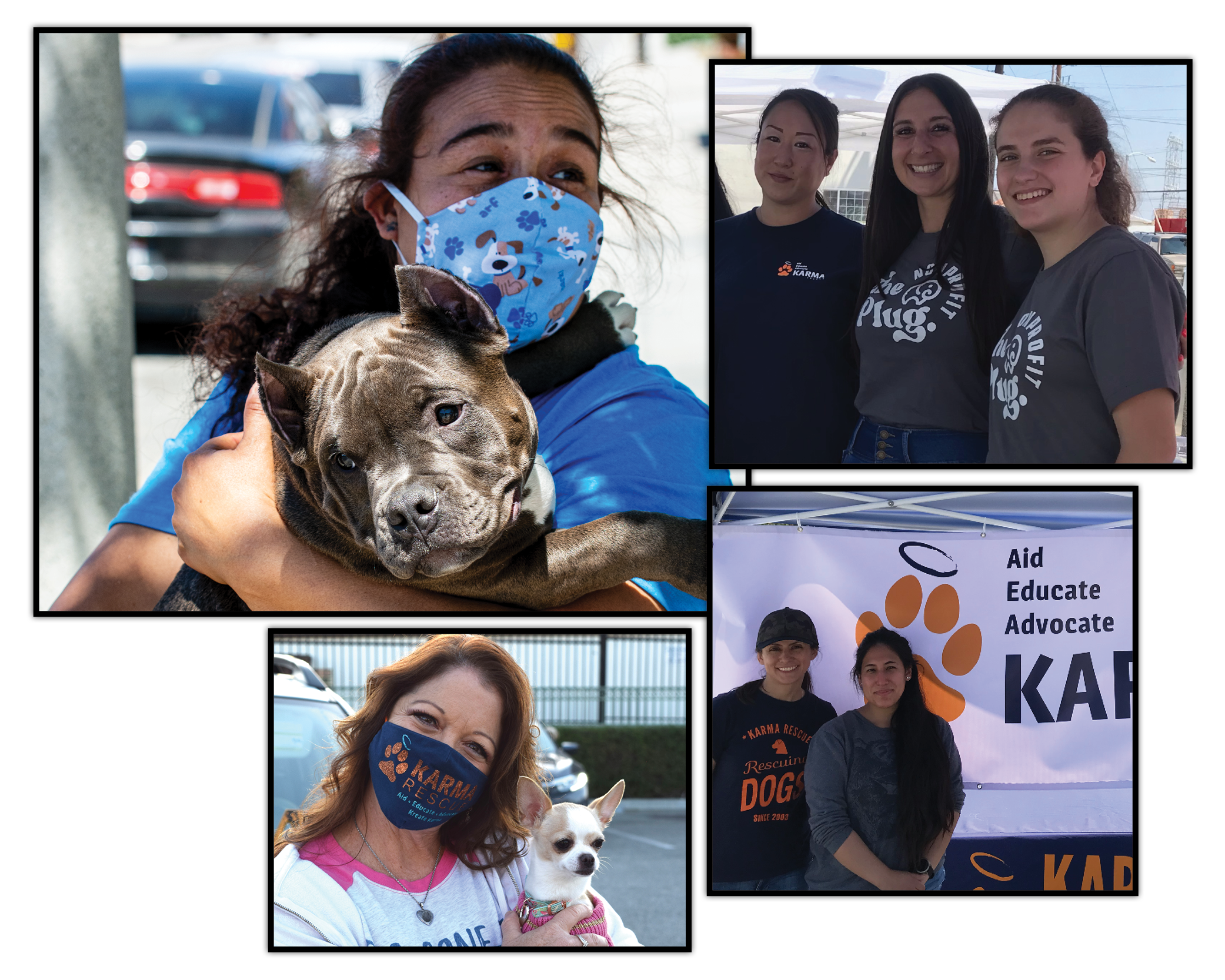 Good karma pet hotsell rescue volunteer website